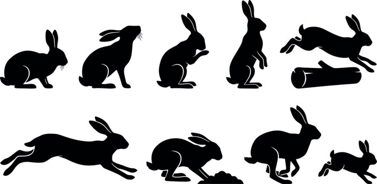 Wild rabbit and hare silhouette collection featuring jumping running alert standing and sitting forest bunny rodent animals vector graphics pack
