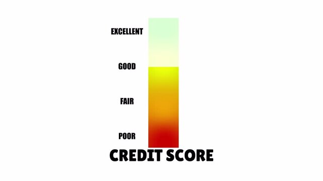 credit score gradient vertical meter bar animation.