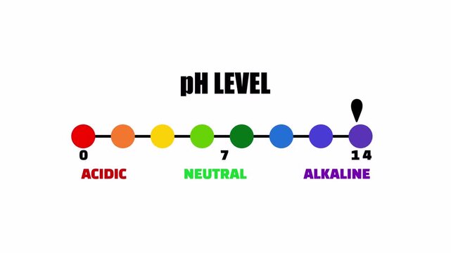Circular pH Level Color Points Meter Animation for Laboratory Testing Research and Education