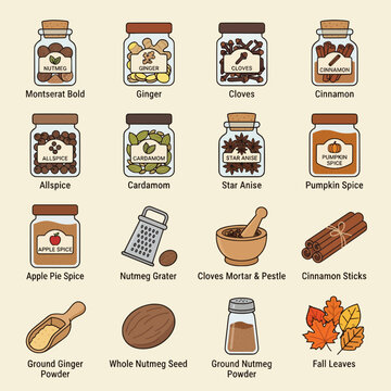Illustrated Spices and Seasonings Collection for Cooking and Baking