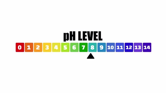 pH Level Numbered Scale One to Fourteen Animation with Scientific Measurement Grid, 1 to 14 pH.