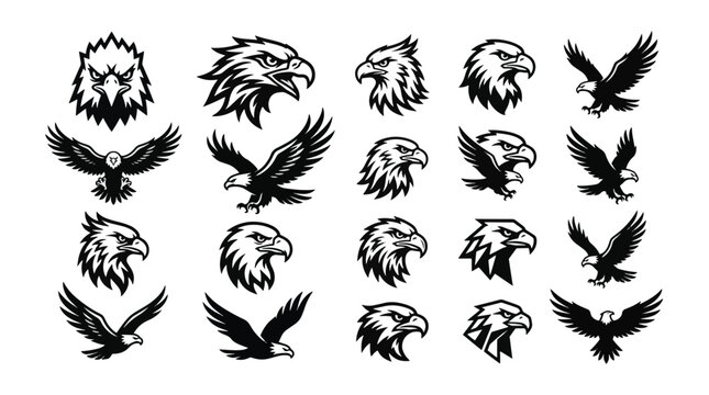 Collection of stylized eagle heads and flying eagles in a graphic illustration style, perfect for emblems and logos