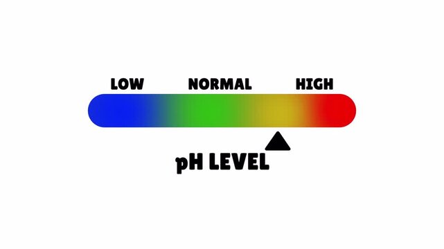 pH Level Gradient Bar Scale Indicator Animation with Color Spectrum Measurement Display.