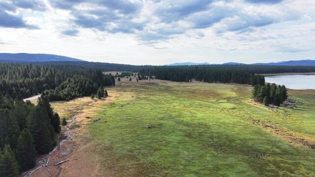 Aerial drone orbital pass over shoreline meadow and conifer forest at McCoy Flat Reservoir, Lassen County, California, spinning to reveal the lake in dappled light.