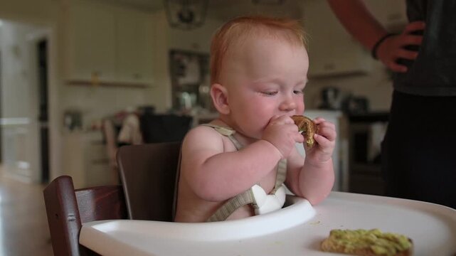 Baby with red hair bites into a piece of bread while sitting in a high chair, surrounded by food items in a well-lit kitchen environment