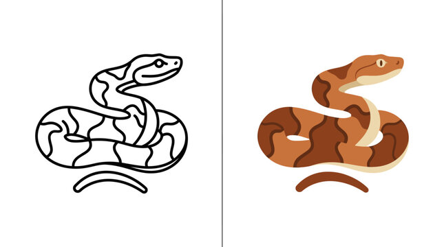 A side by side comparison of a copperhead snake in line art and colored illustration styles.