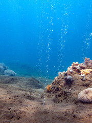 Volcanic gas bubbles escape black sand of bubble reef © Pete Niesen Photo