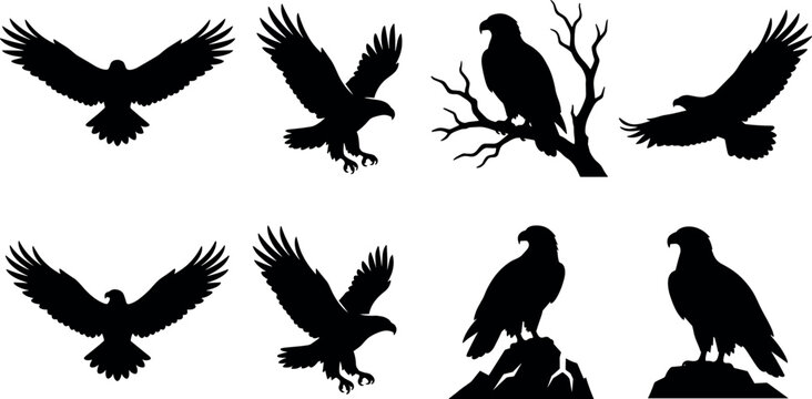 Flying and perched eagles black silhouette vector set featuring soaring hawk falcon and predator birds on branches and rocks