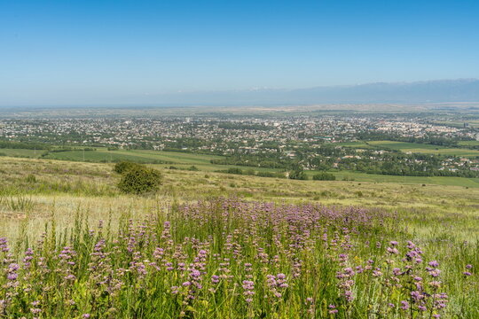 Karakol town view from flower-covered hills, Kyrgyzstan