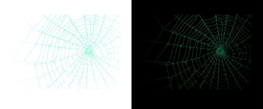 Glowing green spider web on black and white backgrounds, neon cobweb design elements, digital spiderweb graphic for Halloween and spooky themes