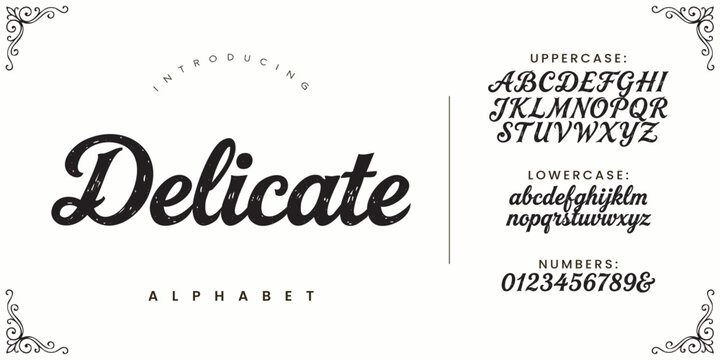 Delicate Alphabet Font Thin Minimalist Elegant Script Calligraphy Fine Line Typography Design