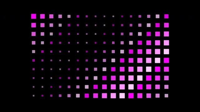 Rhythmic animation of purple and pink squares pulsing in size against a solid black background.