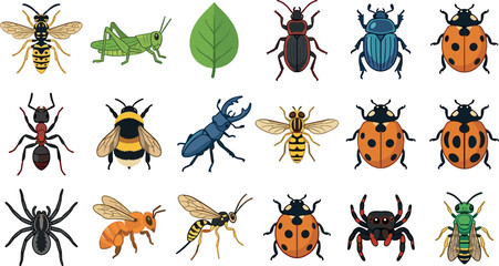 Garden insects and bugs colorful vector icon set featuring flat cartoon wasp bee grasshopper ladybug spider beetle ant fly illustrations © Prodip