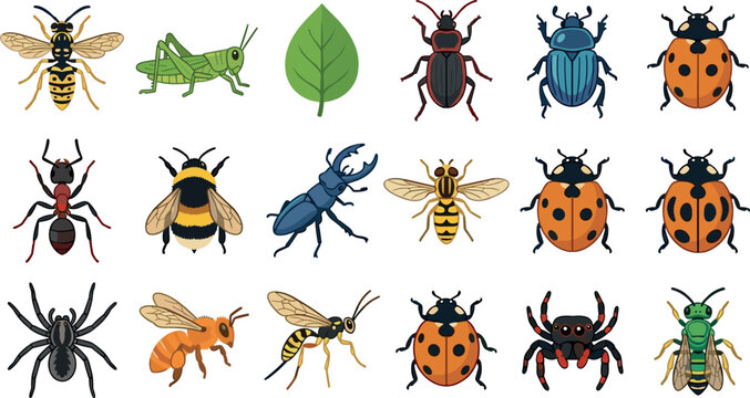 Garden insects and bugs colorful vector icon set featuring flat cartoon wasp bee grasshopper ladybug spider beetle ant fly illustrations
