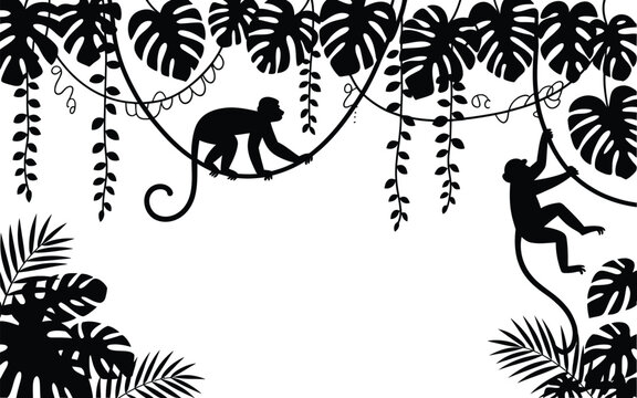 Jungle silhouette vector background featuring monkeys swinging on vines Monstera tropical palm leaves border frame isolated on white background