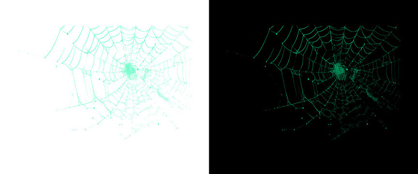 Glowing green spider web on black and white backgrounds, neon cobweb design elements, bioluminescent spiderweb texture for Halloween and spooky themes