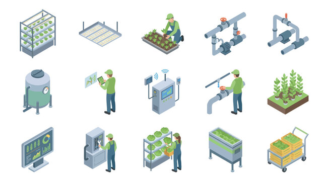 Isometric Icons of Cannabis Cultivation and Processing.
