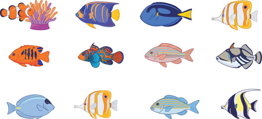 Colorful tropical fish set vector illustration with coral reef species and marine lifeColorful tropical fish set vector illustration with coral reef species and marine life