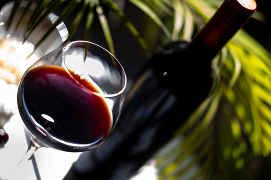 Diagonal angle of Barolo Nebbiolo red wine glass with bottle and palm foliage light patterns