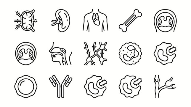 Set of medical and immunology icons representing human anatomy and immune system.