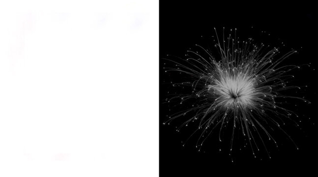 Abstract dandelion seed head on black background, delicate white botanical fiber texture, ethereal organic explosion of soft floral filaments
