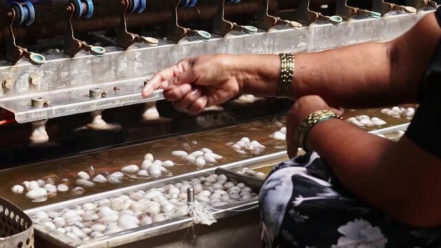 Close-up. unique process of extracting silk threads on authentic machine. Silk farm, clothes produce from silkworm insects cocoon, textile factory. Silkworm cocoons float in water in wooden barrel.