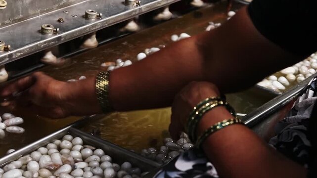 Close-up. unique process of extracting silk threads on authentic machine.