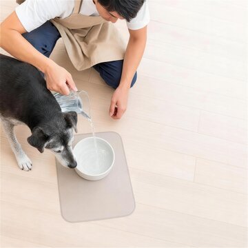老犬の飲み水を確認して記録するペットシッターの手元