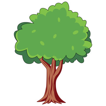 Deciduous tree with green foliage and textured brown trunk isolated vector graphic