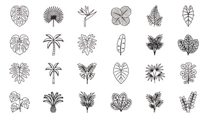 Minimalist tropical leaf line art icons, set of 24 botanical foliage vector illustrations, black outline jungle plant elements for branding and web design © Muhammad