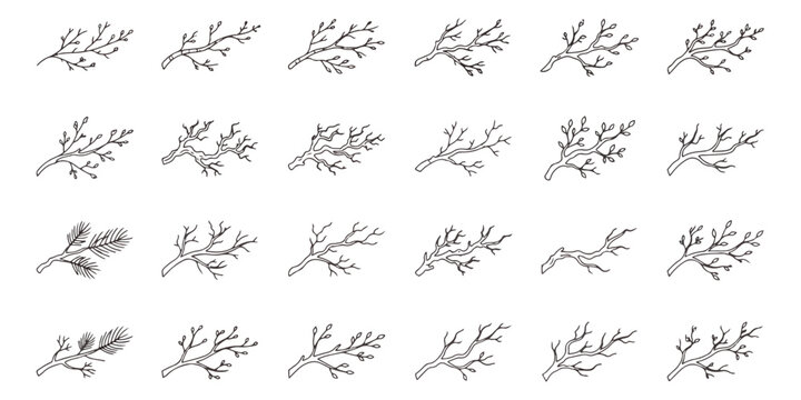 Hand drawn tree branch set, 24 minimalist botanical line art vector icons, rustic winter twig sketches for wedding invitations and logo design