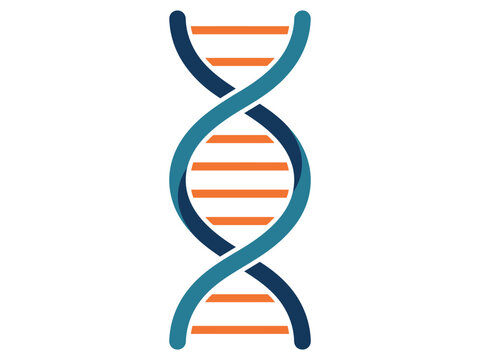 Dna double helix illustration with deoxyribonucleic acid genetic material DNA structure nucleic acid double strand DNA replication DNA sequencing genetic code helix shape organic chemistry