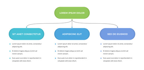 Obraz premium Flow chart infographic template with three connected branches and rounded sections, ideal for business presentations, workflows, structures and process visualization