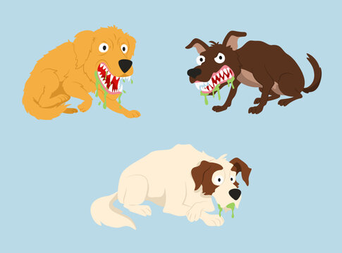 A collection of vector illustrations featuring aggressive dogs showing classic rabies symptoms, including excessive drooling, exposed teeth, hostile behavior, and warning expressions.
