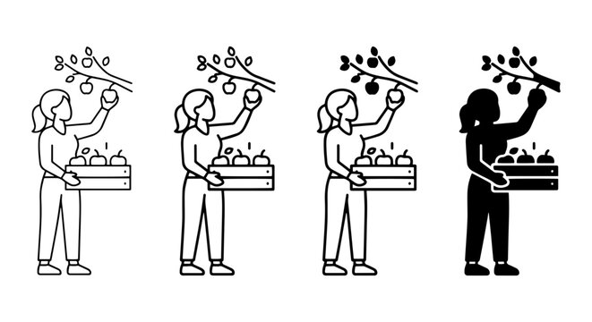 Apple Picking Icons, Woman Harvesting Fruit, Autumn Harvest Collection, Vector Graphics