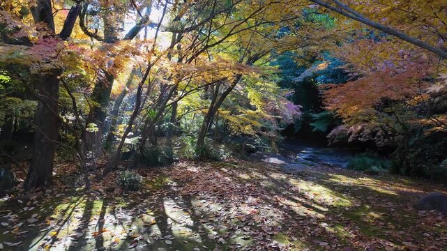 秋の釣耕園　熊本市