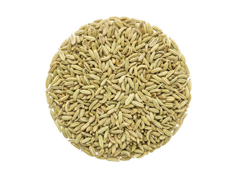 Dried fennel seeds isolated on white. Organic spice pile for culinary and health use.