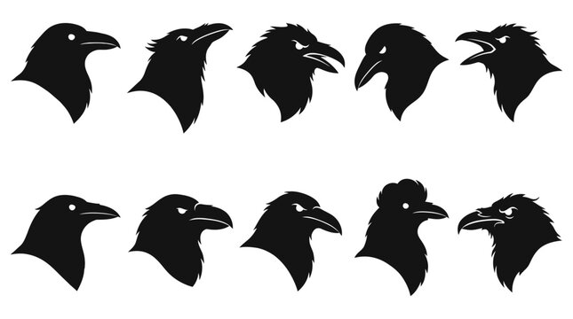 Raven Head Silhouette Vector Set Gothic Crow Profile Graphics Pack