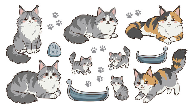 Collection of fluffy maine coon cats in various poses with paw prints and cat beds, feline set for stickers, patterns, and web assets