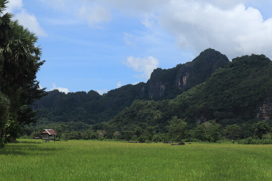 Beautiful scenic view of lush green rice terraces and majestic mountains in Indonesia countryside