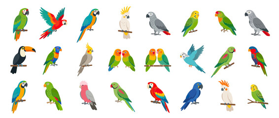 Obraz premium Collection of Colorful Exotic Birds on Branches