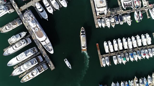 Top down drone shot following a boat as it moves through the Cabo San Lucas marina, passing rows of luxury yachts with a few birds drifting through the frame above the docks.