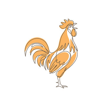 Rooster line art with abstract orange accent.