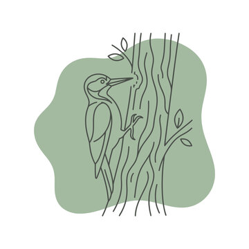 Woodpecker on tree trunk line art with green.