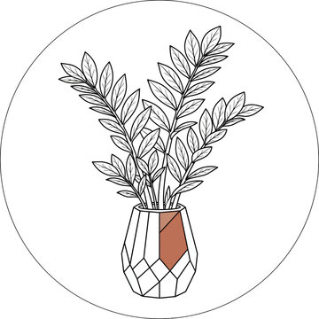 ZZ plant in geometric pot botanical line illustration.