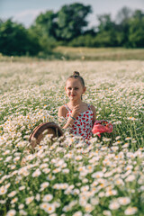 Summer harvest child eats fresh strawberries amidst blooming bellis perennis daisy field under bright sunlight © svetograph