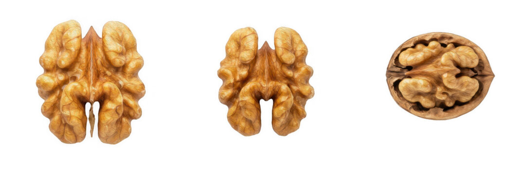 Shelled walnut halves PNG collection, organic raw nut kernels and open shell nut clip art, healthy snack cutout elements, isolated natural food design asset set