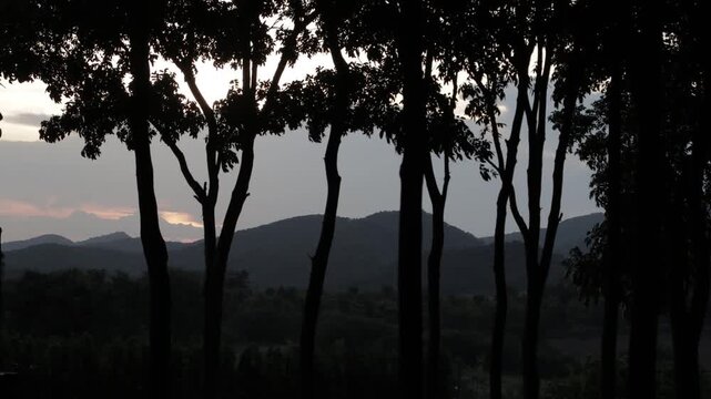 Timelapse of silhouetted trees and mountains against a colorful sunset sky. Dramatic twilight atmosphere at a nature campsite.