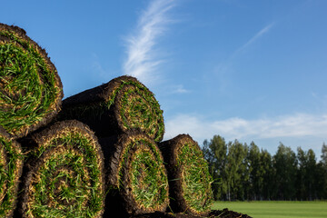 Naklejka premium Pallets of rolled sod turf stacked in agricultural field with clouds in blue sky