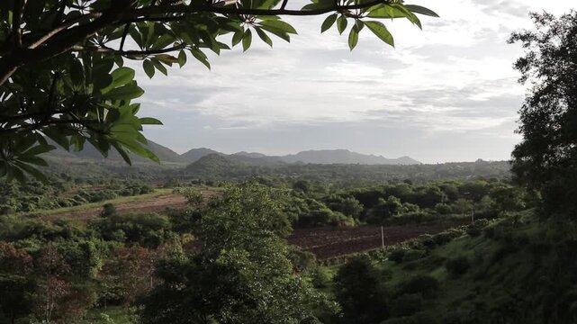Scenic view of green mountain valley and tropical forest framed by leaves on top. Panoramic nature viewpoint landscape.